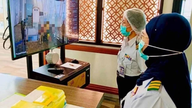 Nguy cơ dịch Nipah tại Việt Nam thấp dù phát hiện kháng thể ở dơi